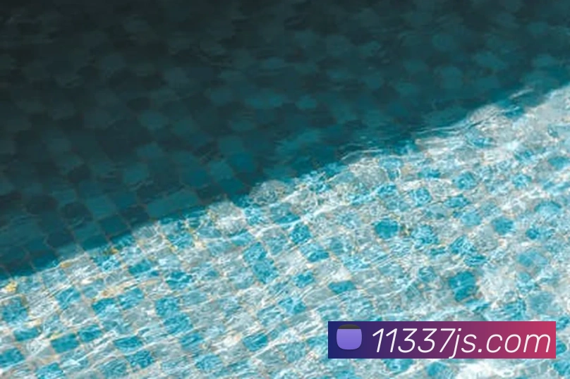 金沙国际官网平台生态图